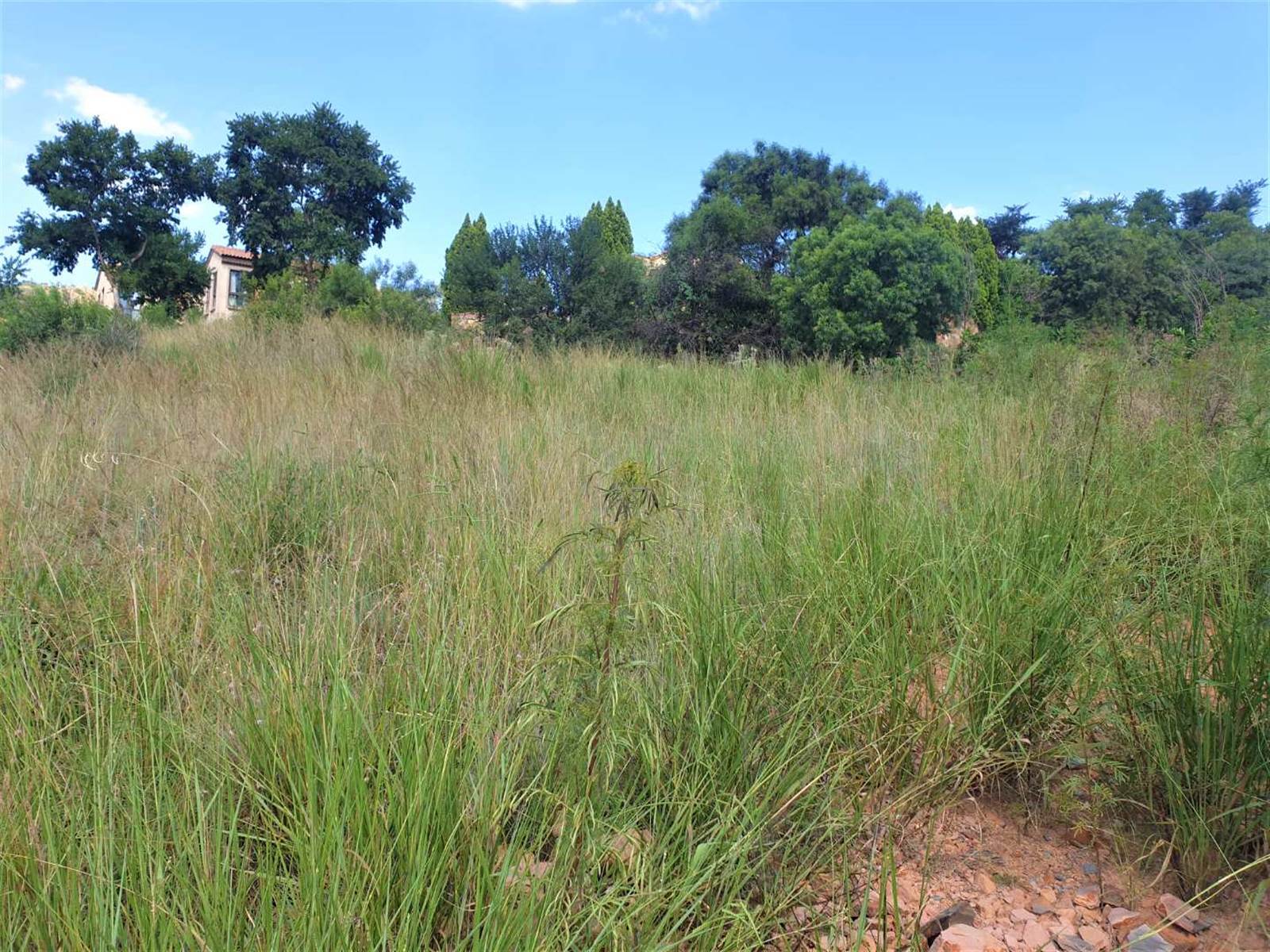 1043 m² Land available in Estate D Afrique photo number 12