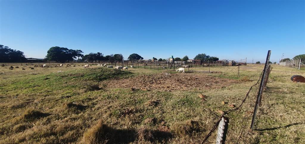 2.6 ha Farm in Randfontein photo number 30