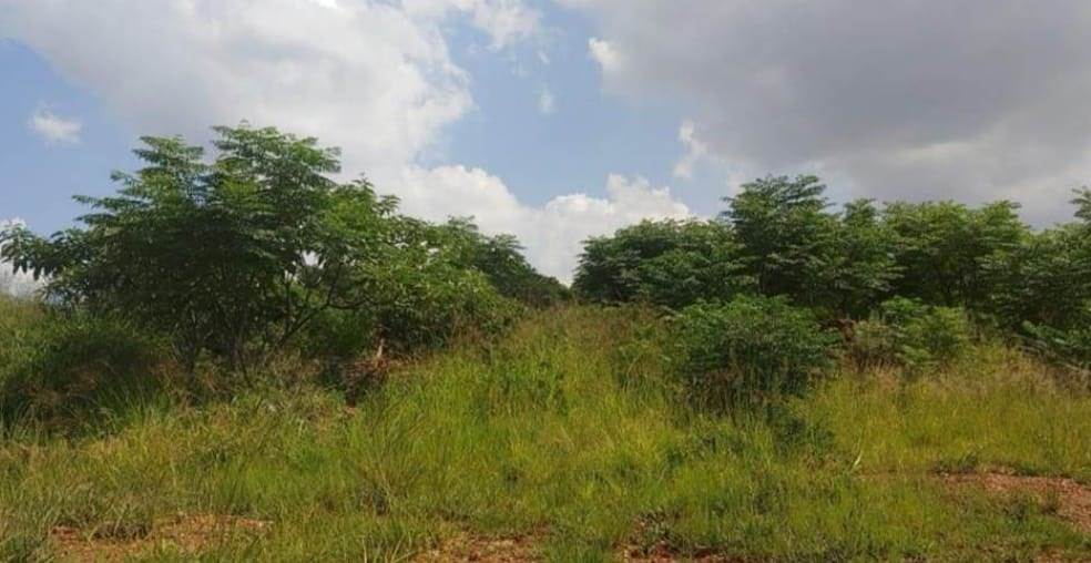 8565 m² Land available in Raslouw photo number 2