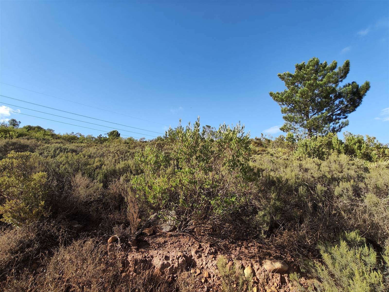 1100 m² Land available in Tulbagh photo number 5
