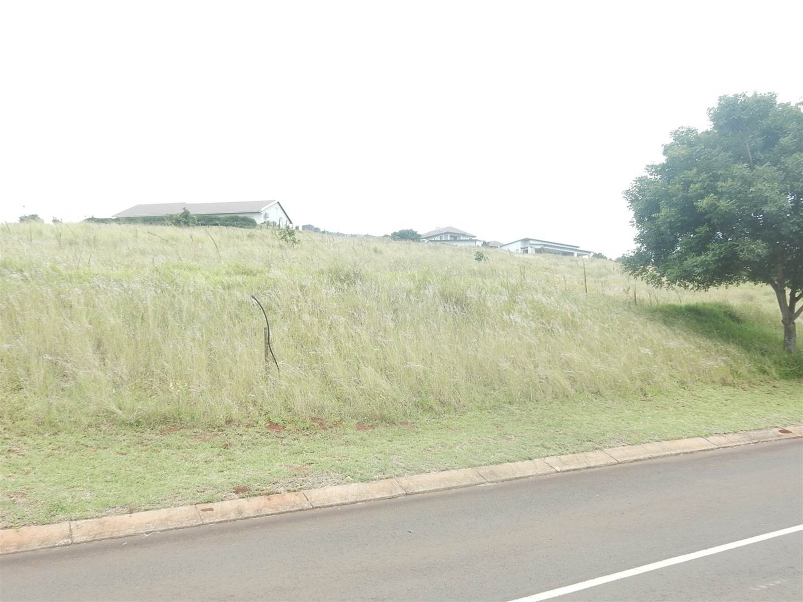 1624 m² Land available in Mtunzini photo number 14