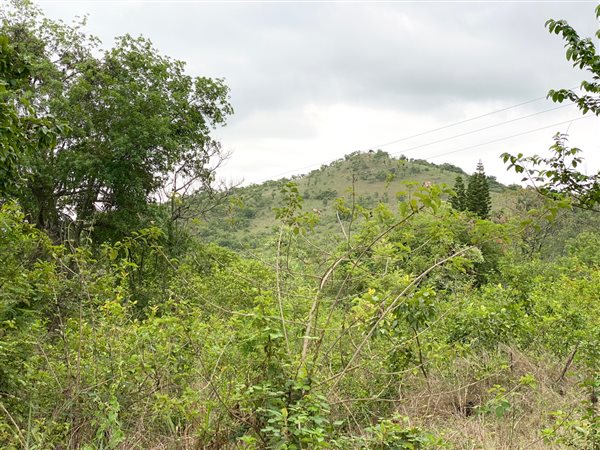 2.5 ha Land available in Nelspruit