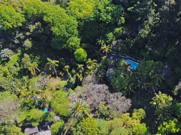 8 000 m² Land 8 000 m² Land