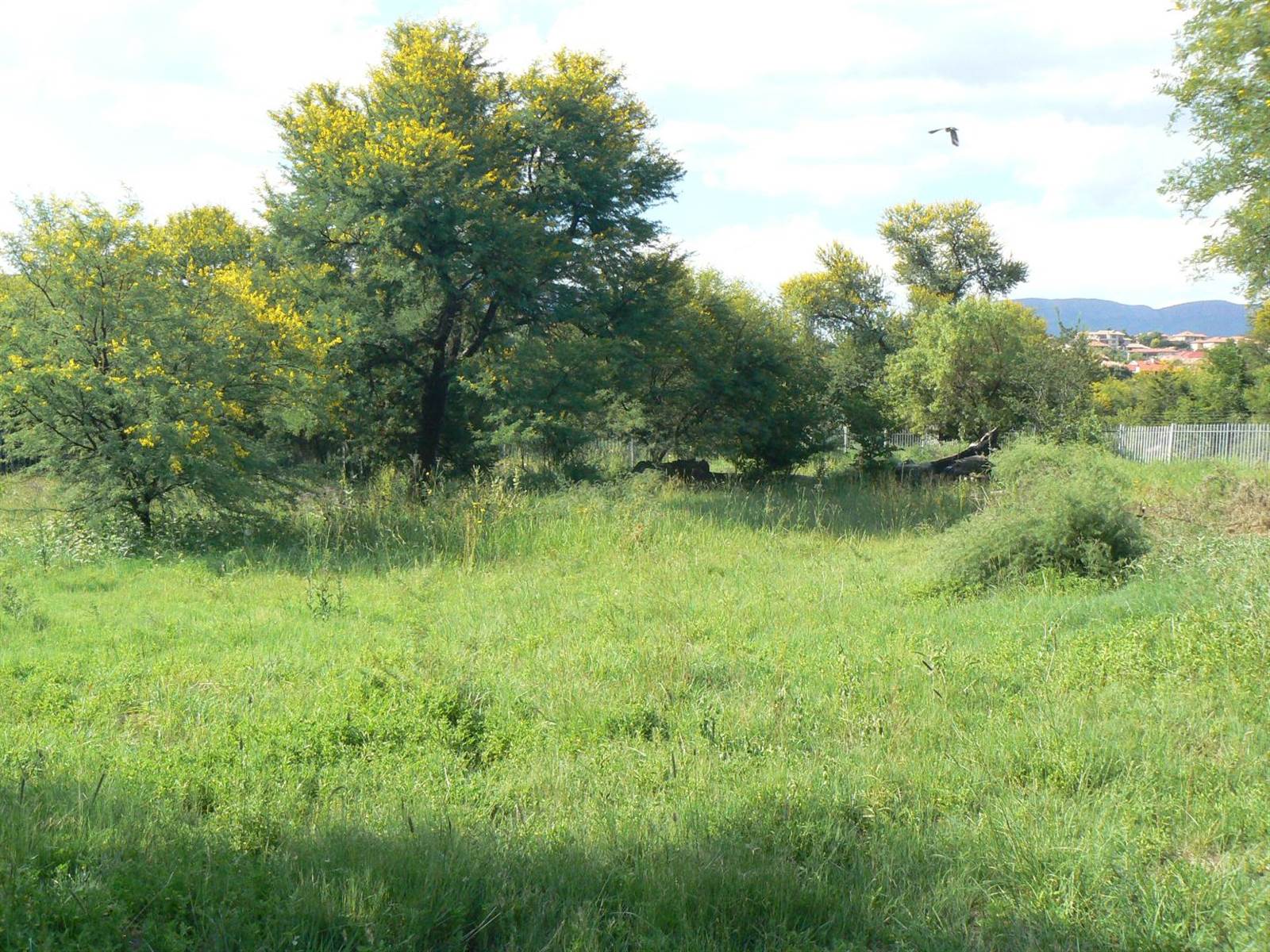 875 m² Land available in Meerhof photo number 1