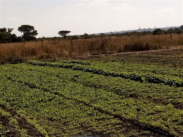 8.5 ha Farm with House 8.5 ha Farm with House