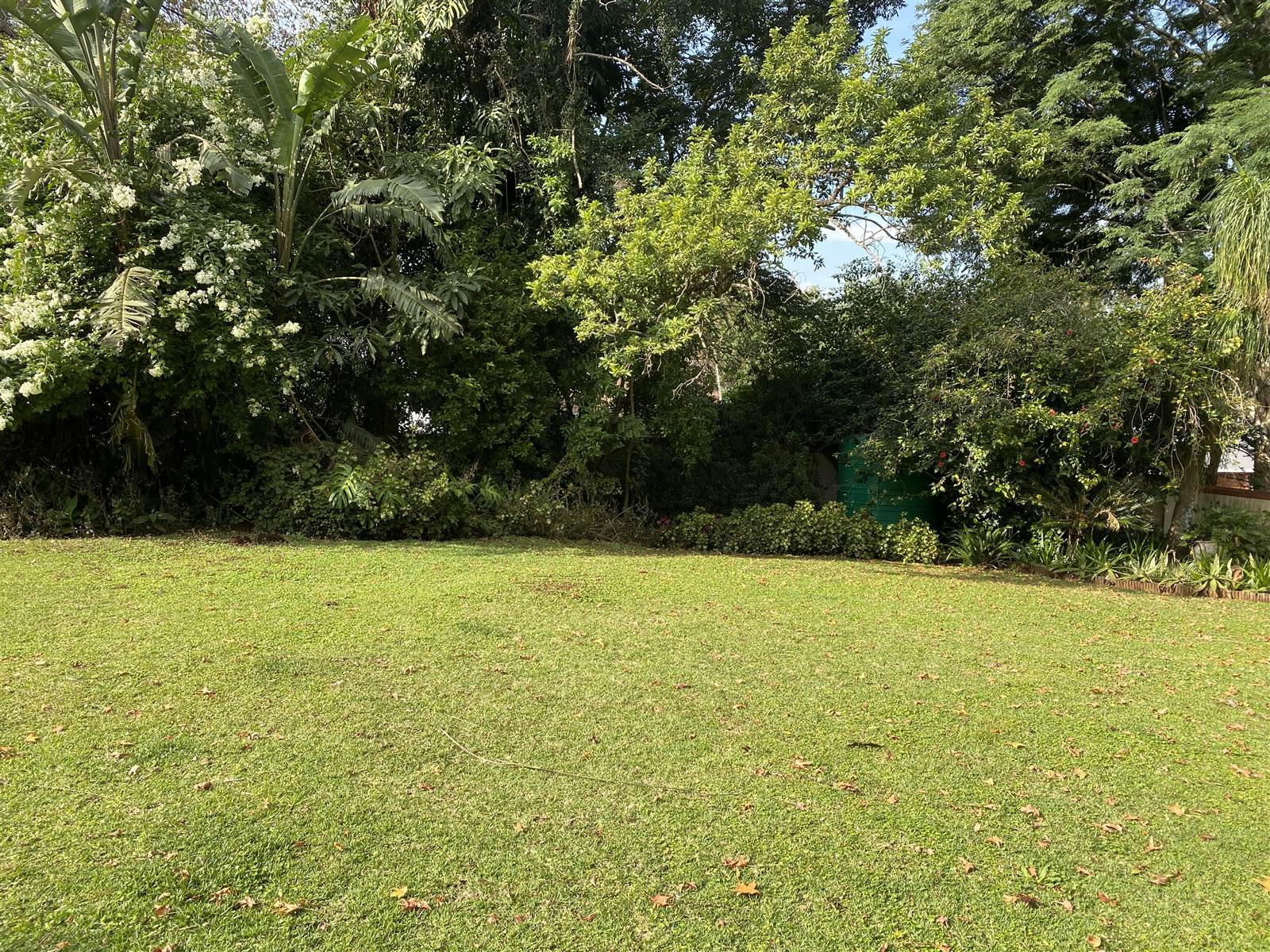 1082 m² Land available in Oak Park photo number 5