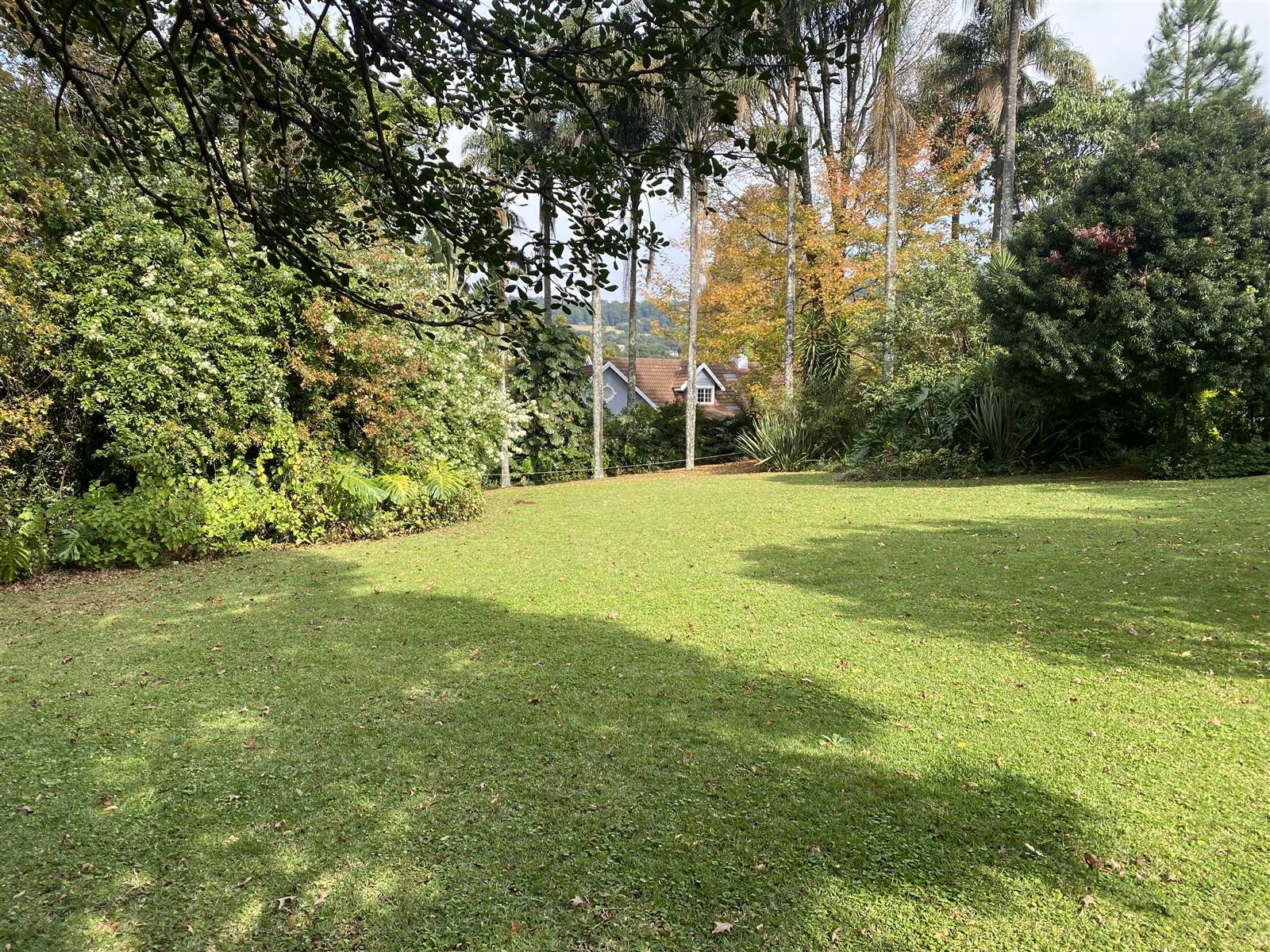 1082 m² Land available in Oak Park photo number 1