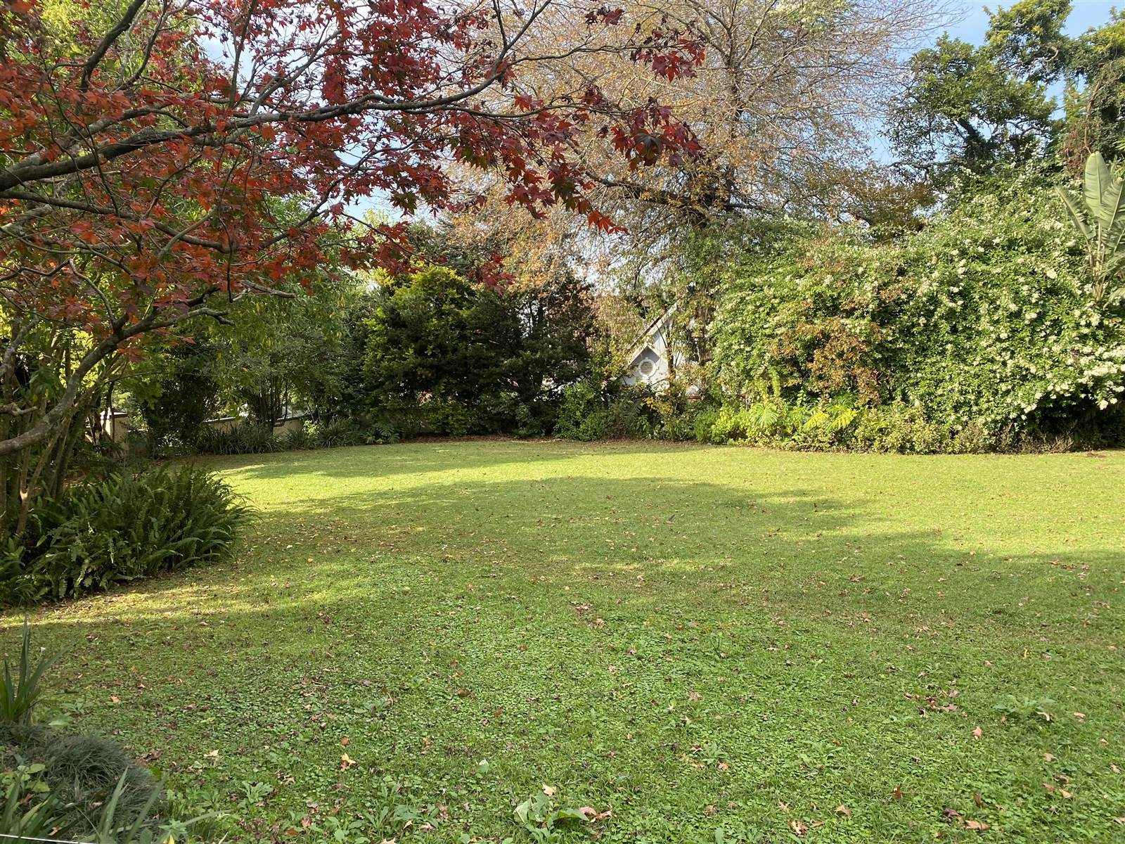 1082 m² Land available in Oak Park photo number 3