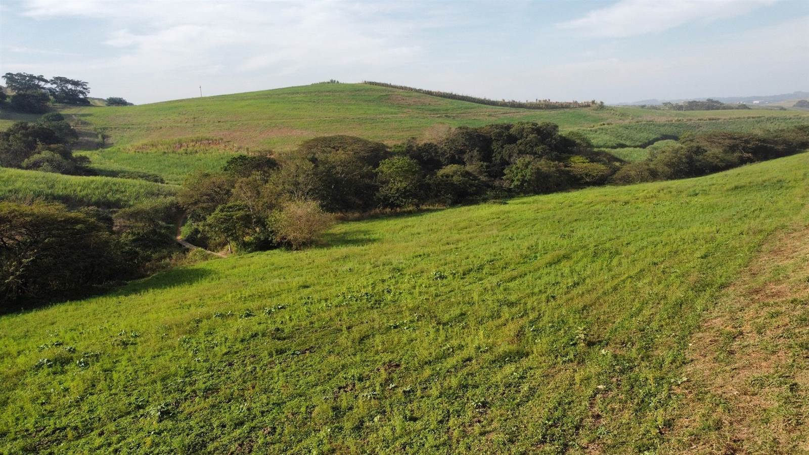 2 ha Land available in Ballito photo number 23