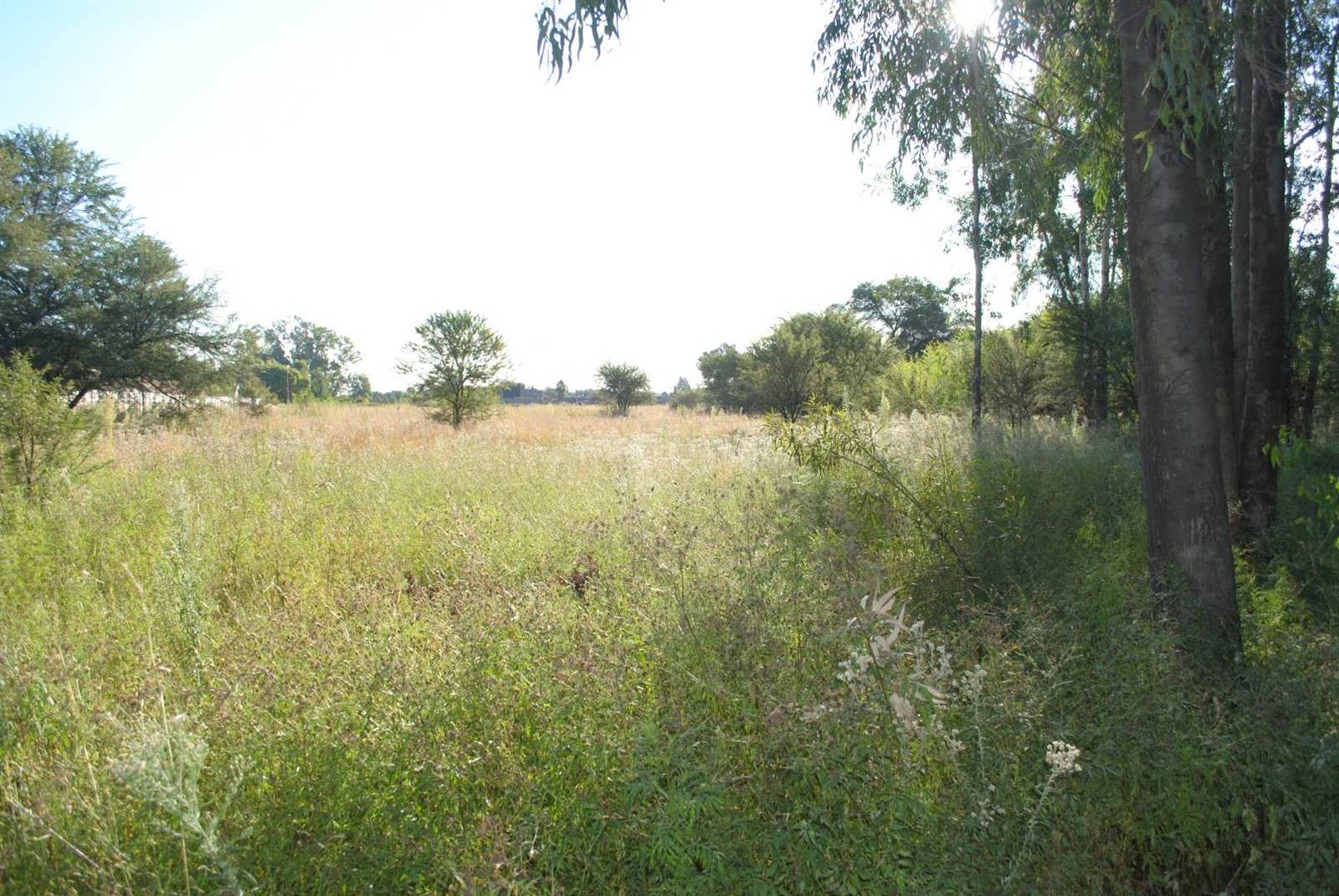 1.6 ha Land available in Kookrus photo number 5