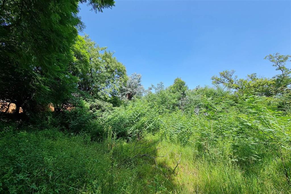 8565 m² Land available in Sandhurst photo number 7