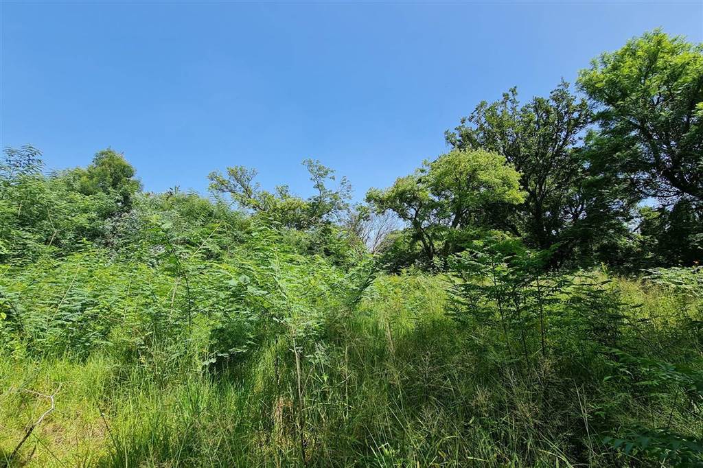 8565 m² Land available in Sandhurst photo number 8