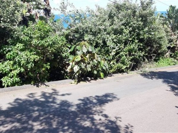 964 m² Land available in Bluff