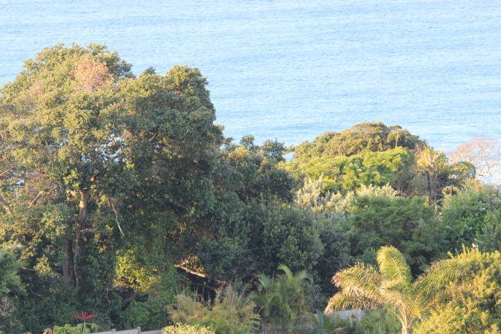1103 m² Land available in Zinkwazi Beach photo number 3