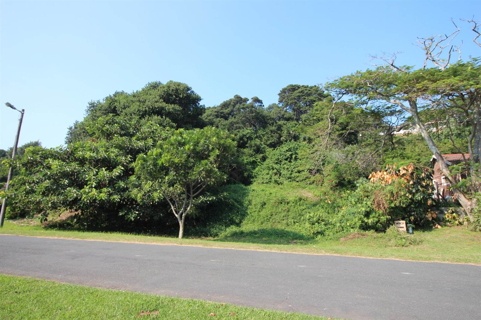 1103 m² Land available in Zinkwazi Beach photo number 2
