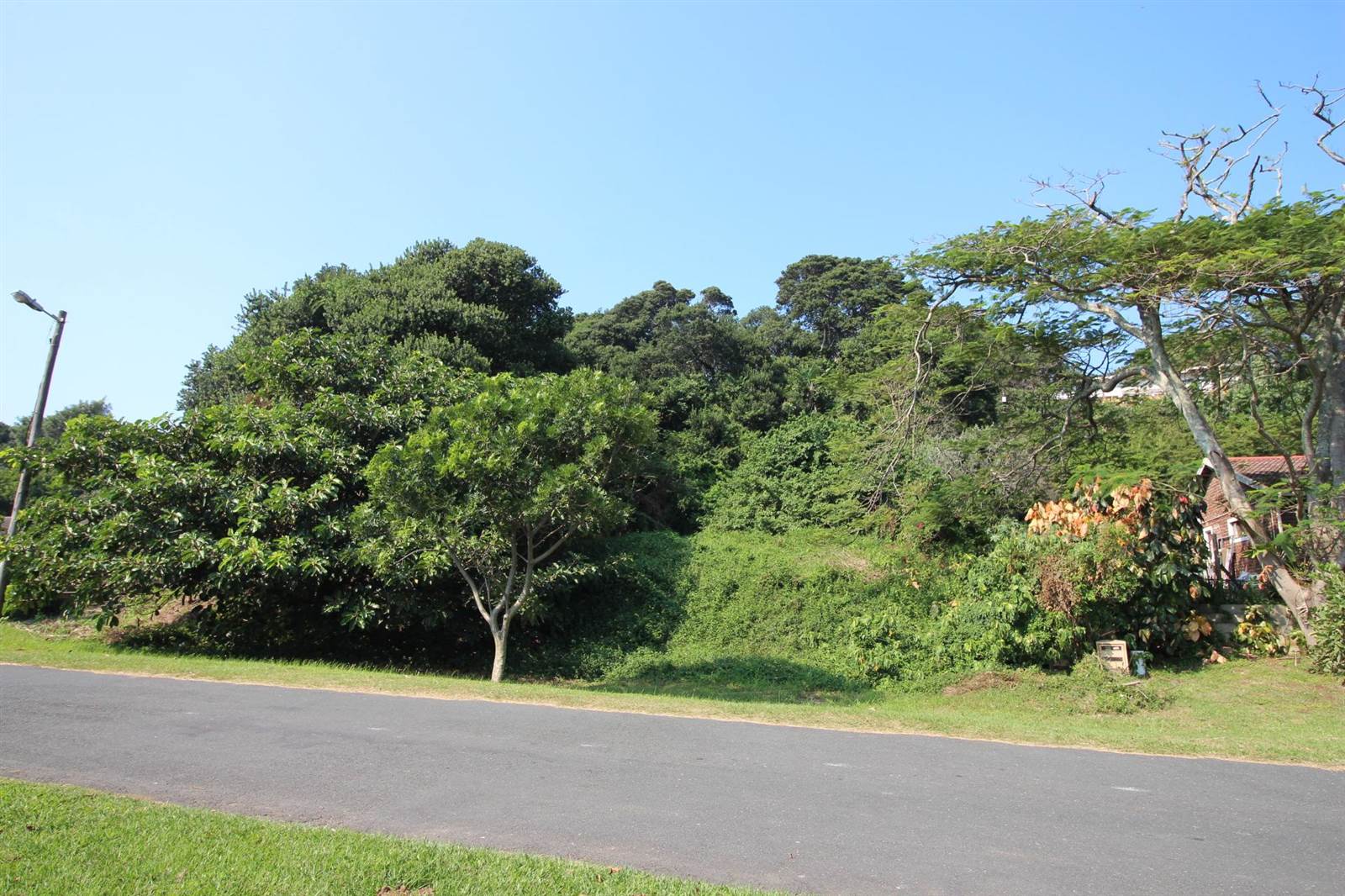 1103 m² Land available in Zinkwazi Beach photo number 1