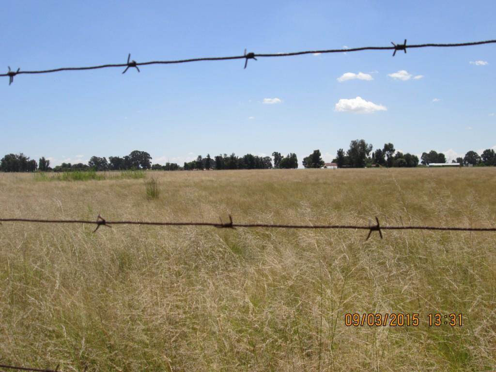 1 ha Land available in Delmas photo number 9