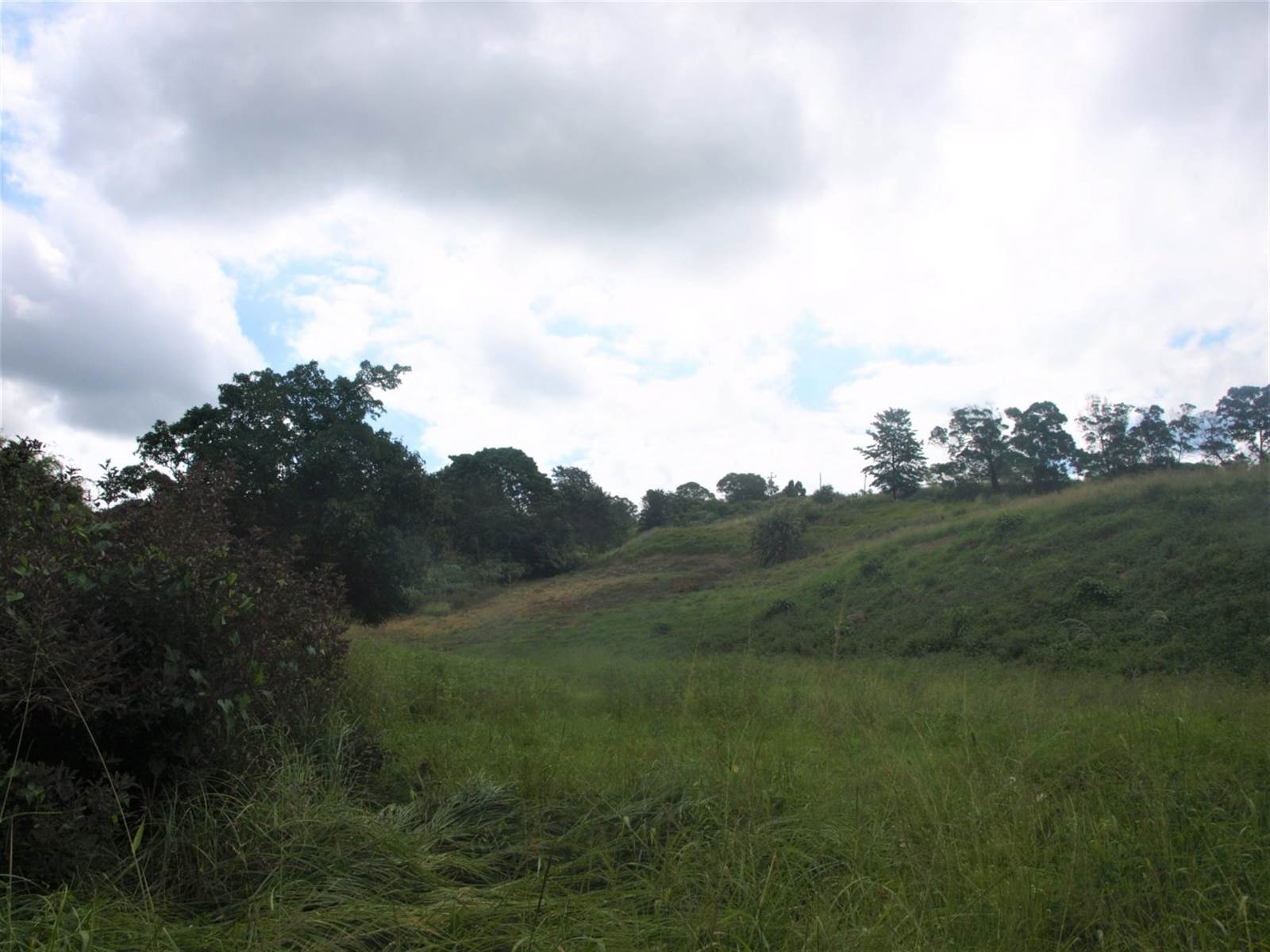 4.8 ha Land available in Drummond photo number 8