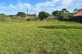 1000 m² Land available in Bethal photo number 3