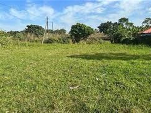 1000 m² Land available in Bethal