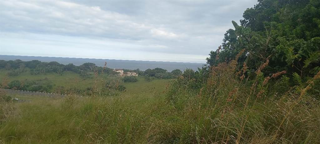 4970 m² Land available in Elysium photo number 3