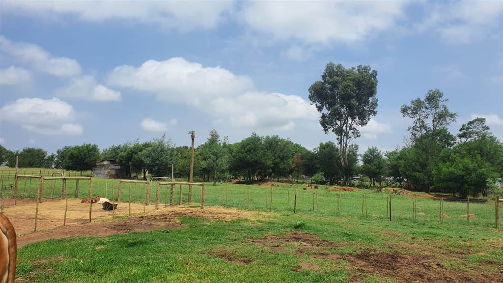 8.5 ha Farm in Randfontein photo number 26