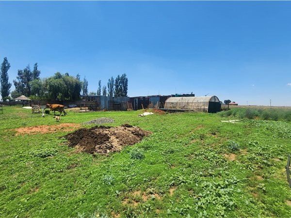 2.8 ha Smallholding