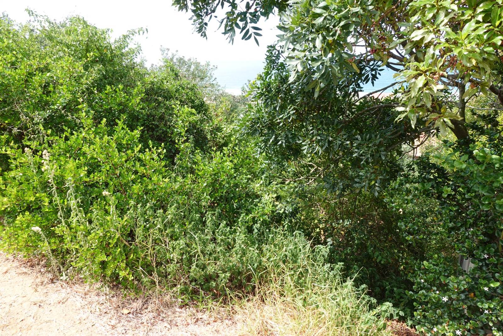 938 m² Land available in Outeniqua Strand photo number 2