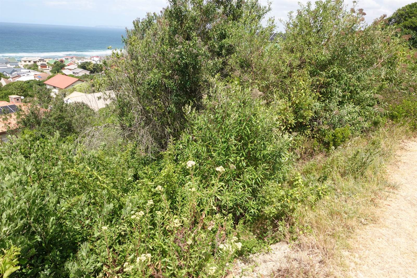 938 m² Land available in Outeniqua Strand photo number 4