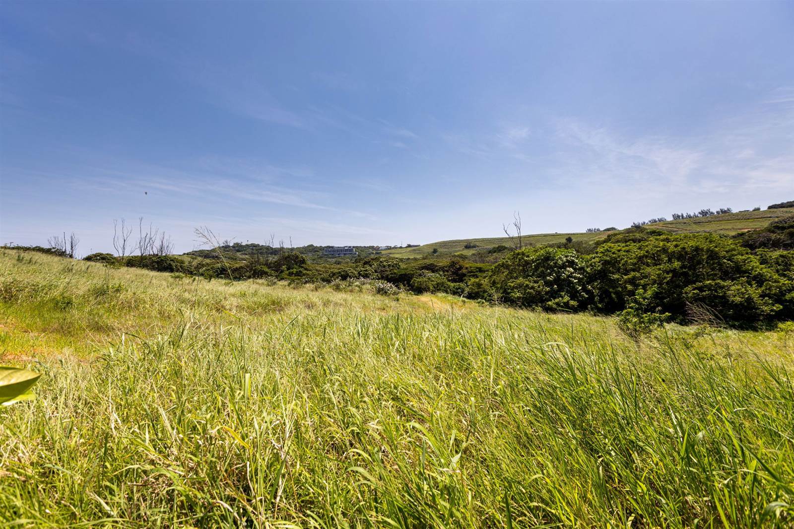 1093 m² Land available in Sheffield Beach photo number 10