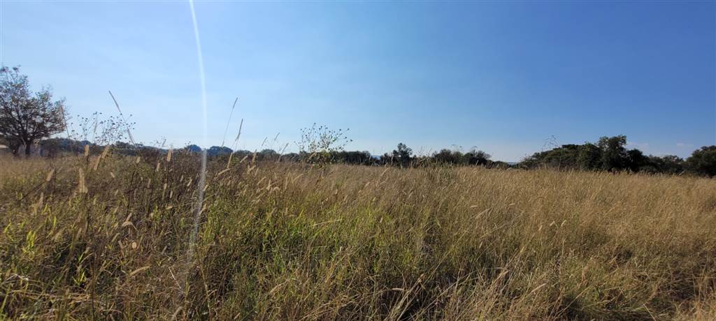 7931 m² Land available in Modimolle photo number 4