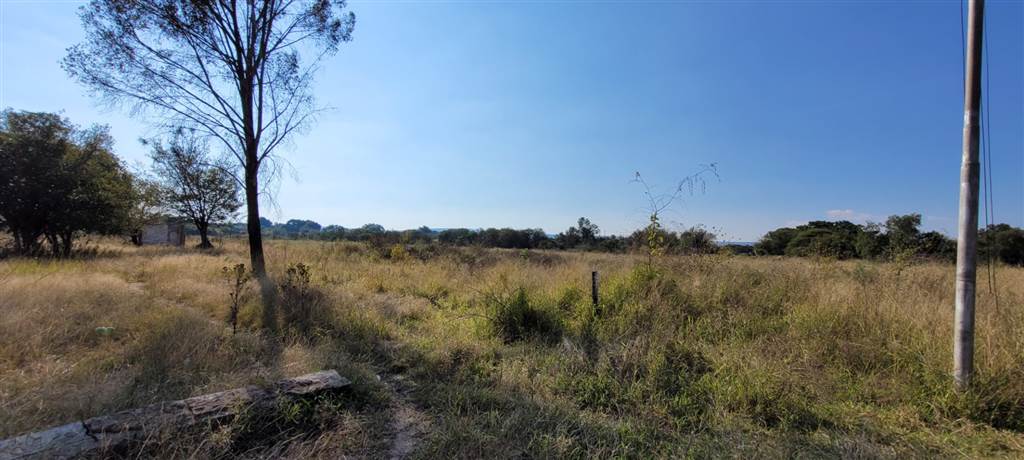 7931 m² Land available in Modimolle photo number 5