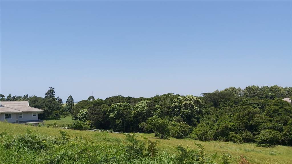 993 m² Land available in Eshowe photo number 10