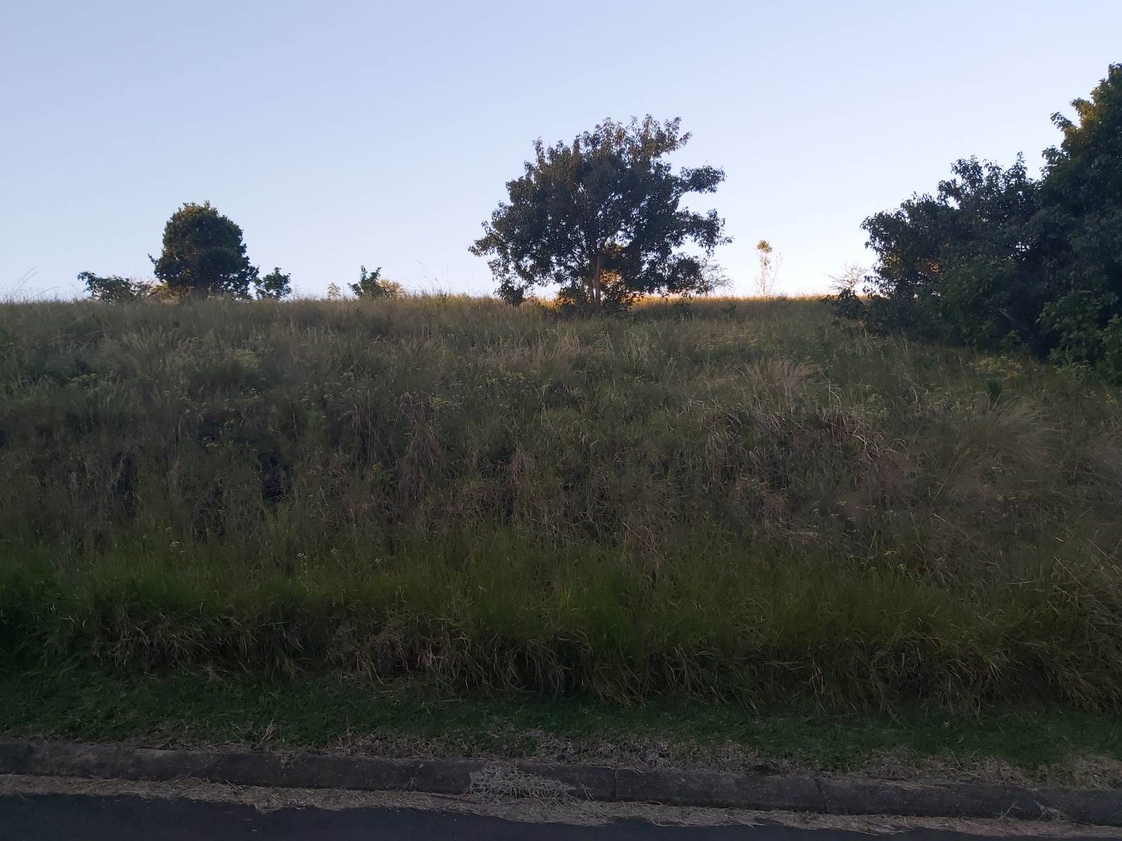 993 m² Land available in Eshowe photo number 5