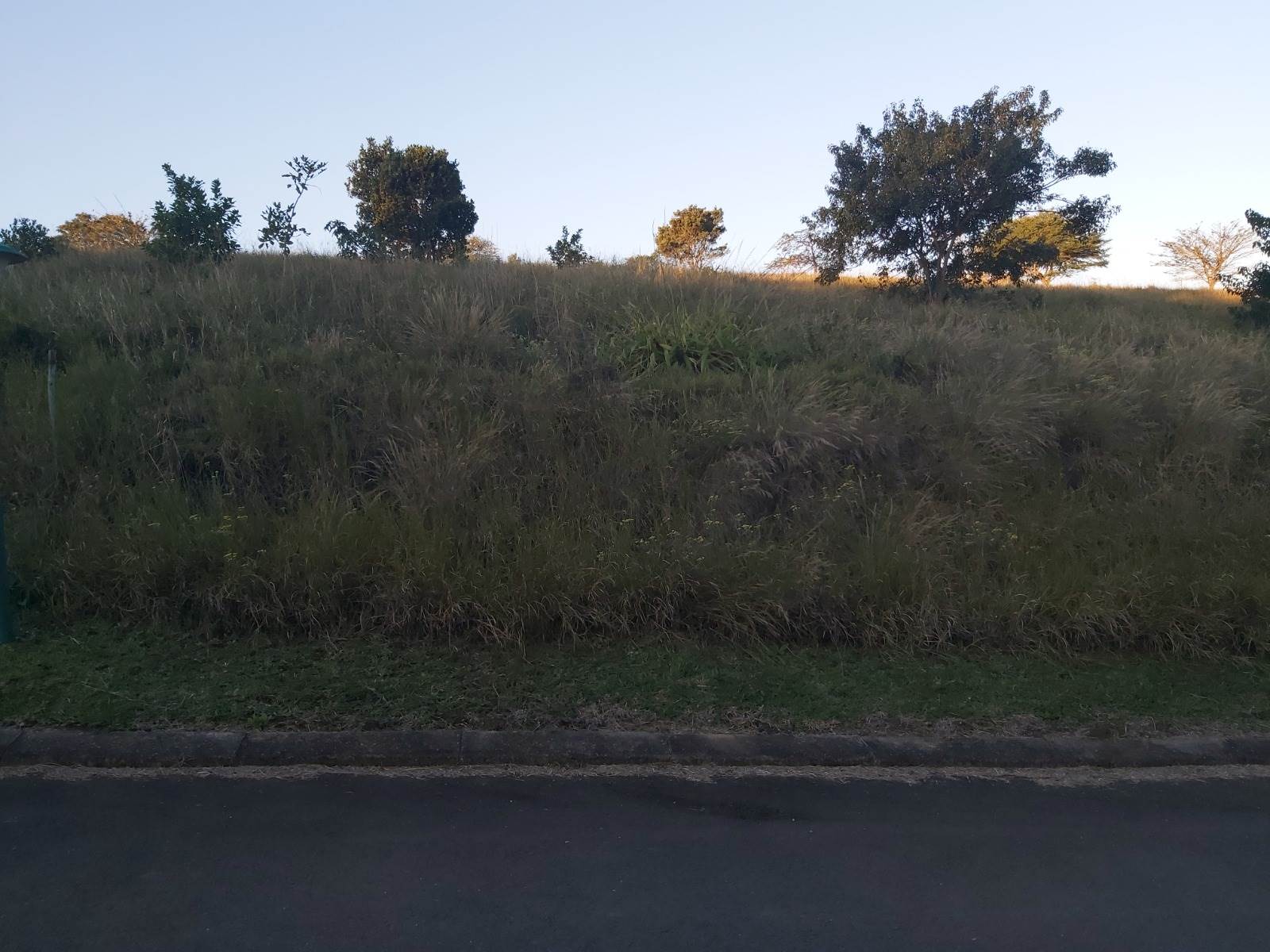 993 m² Land available in Eshowe photo number 7