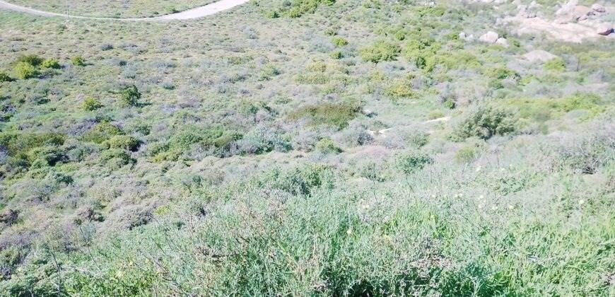 465 m² Land available in St Helena Views photo number 8