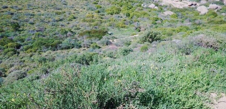 465 m² Land available in St Helena Views photo number 11