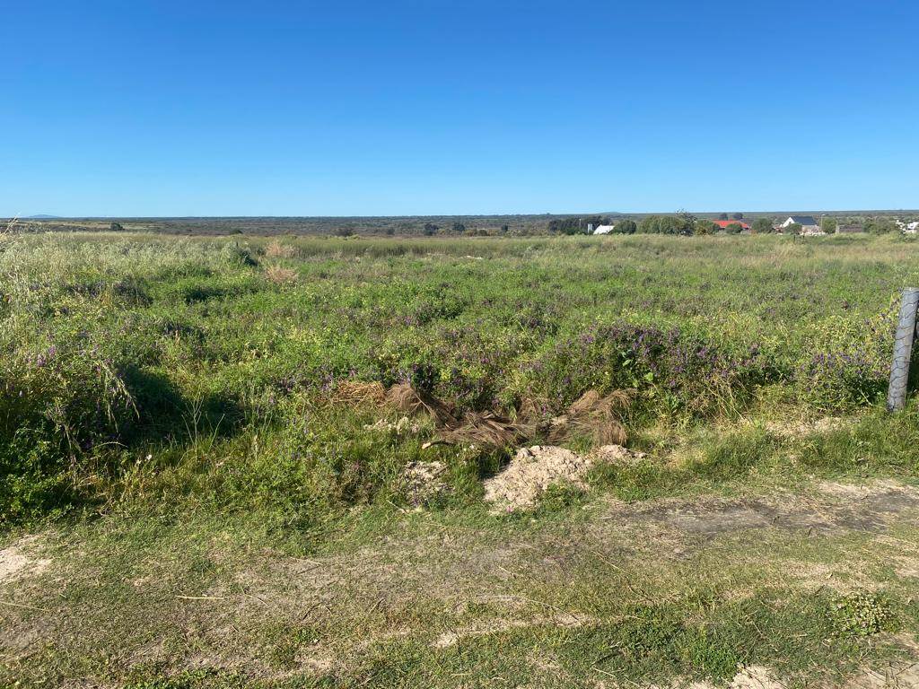 296 m² Land available in Hopefield photo number 9