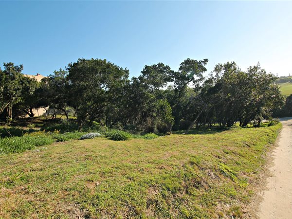 1753 m² Land available in West Bank