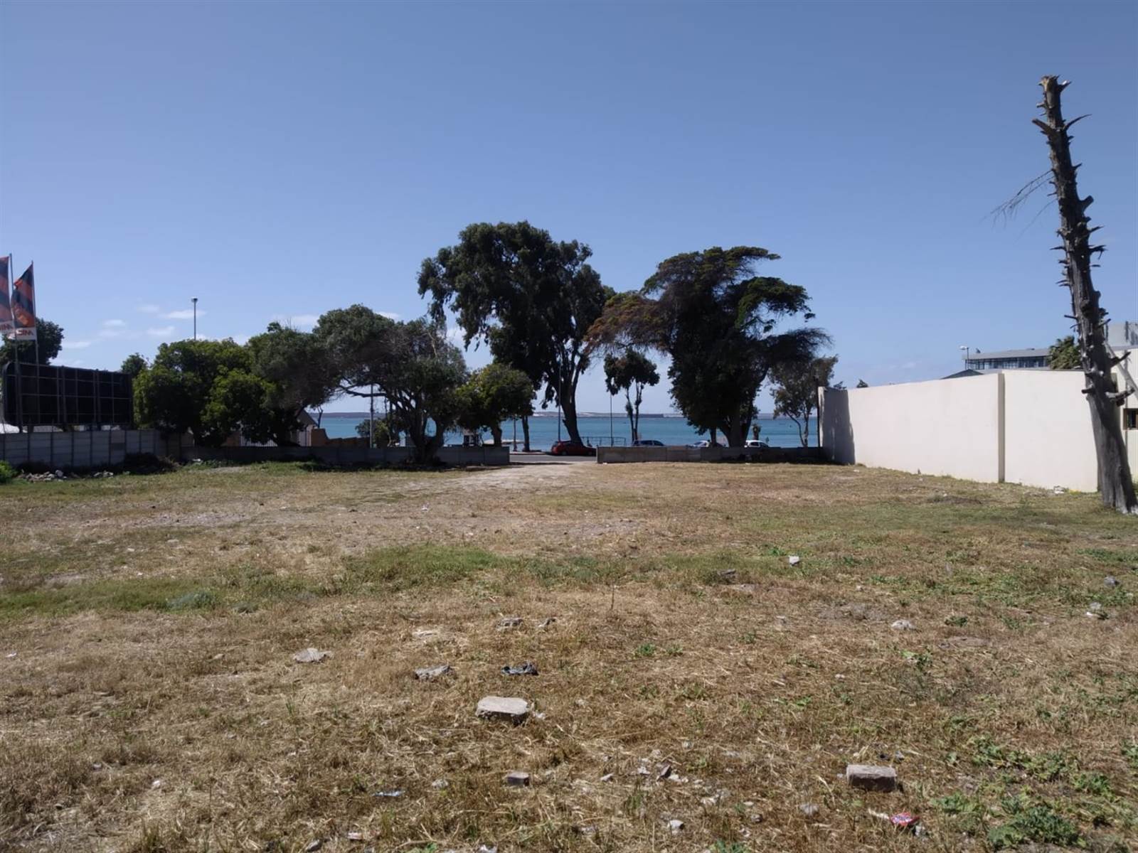 1169 m² Land available in Saldanha photo number 4