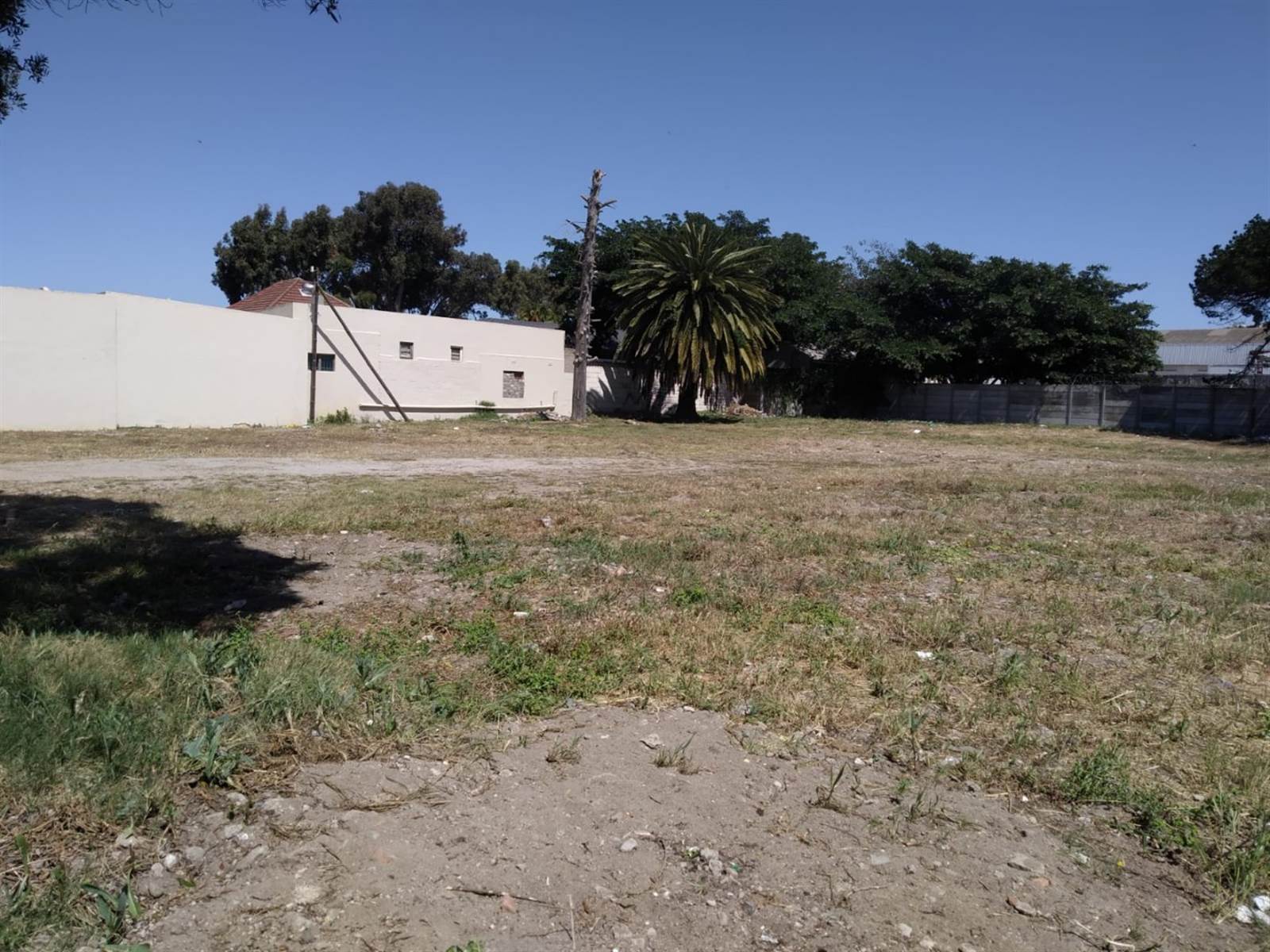 1169 m² Land available in Saldanha photo number 5