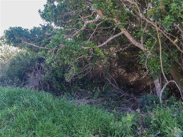 611 m² Land available in Paradise Beach photo number 6