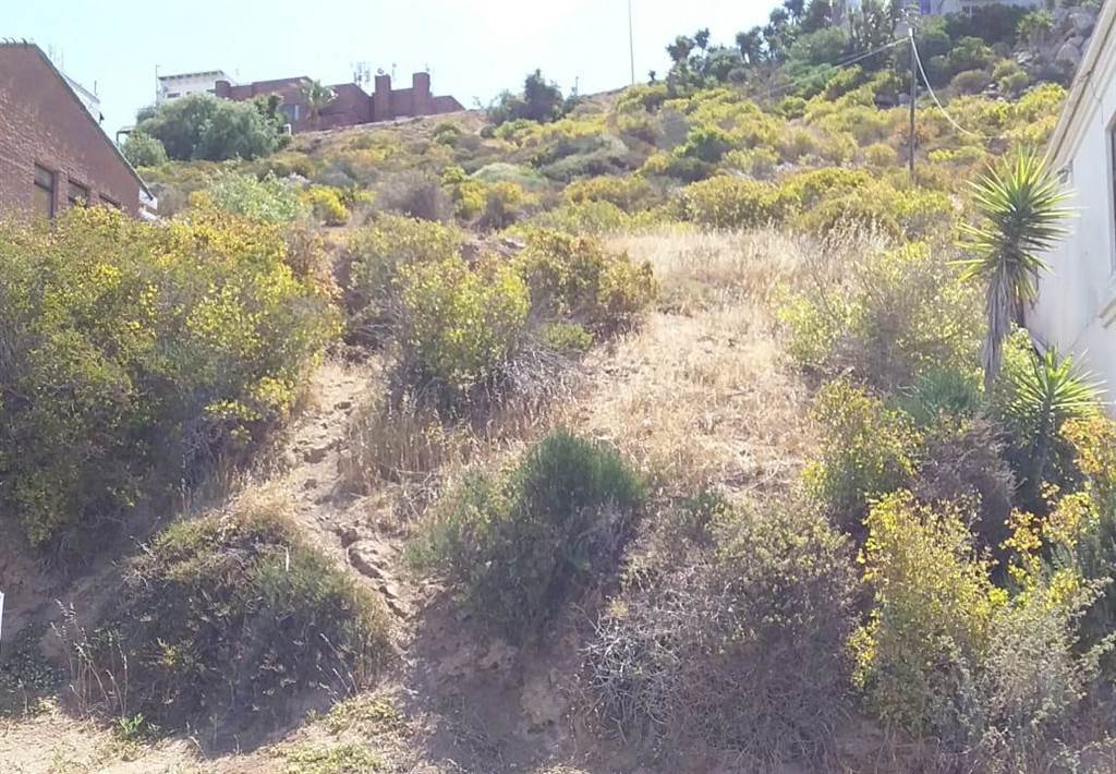 749 m² Land available in Saldanha photo number 2