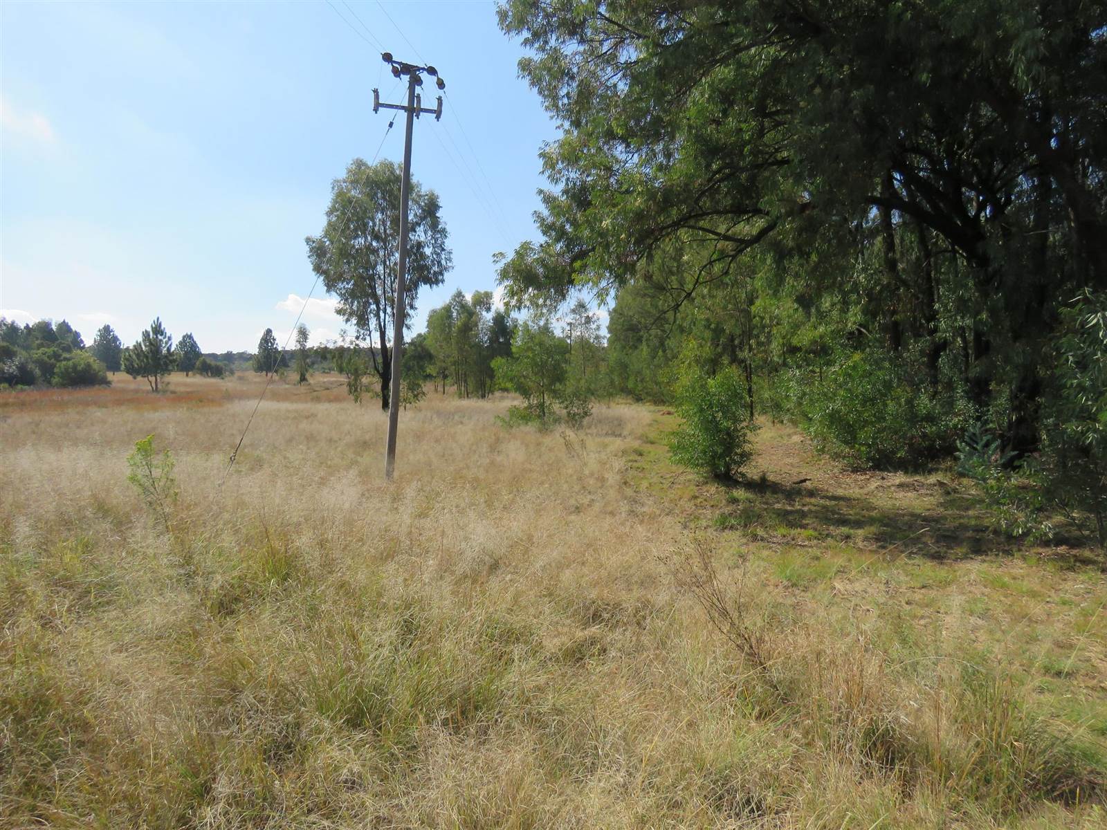 19 ha Land available in Zwavelpoort photo number 6