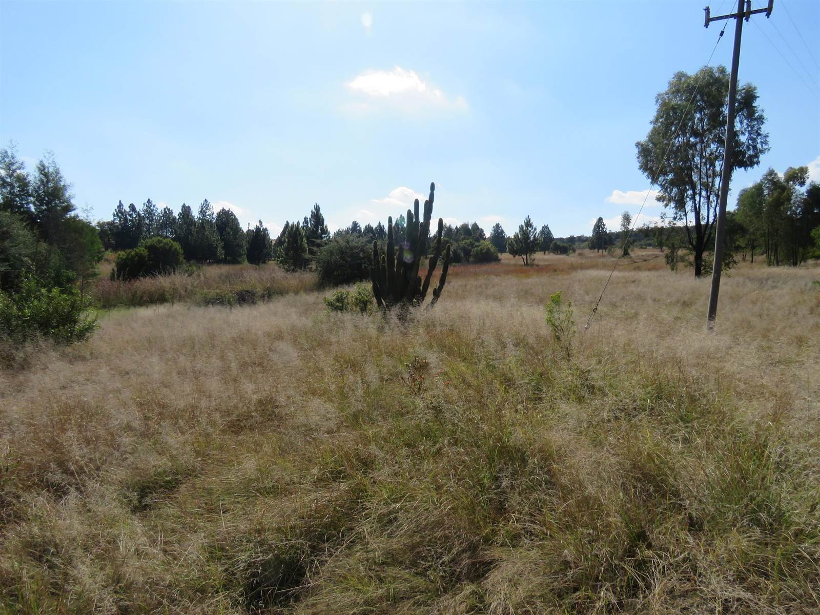 19 ha Land available in Zwavelpoort photo number 10