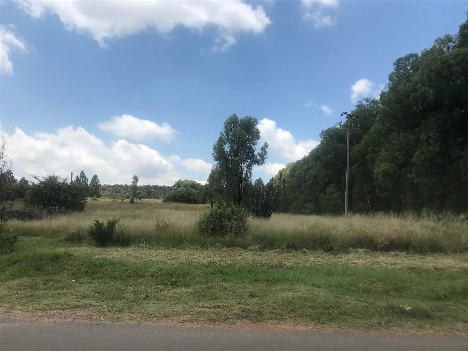 19 ha Land available in Zwavelpoort photo number 8