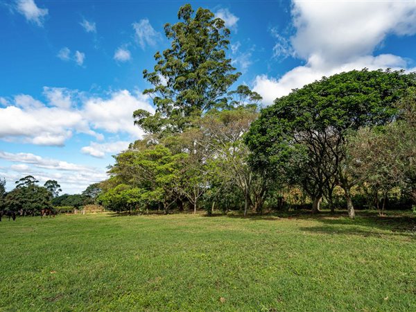 1 482 m² Land 1 482 m² Land