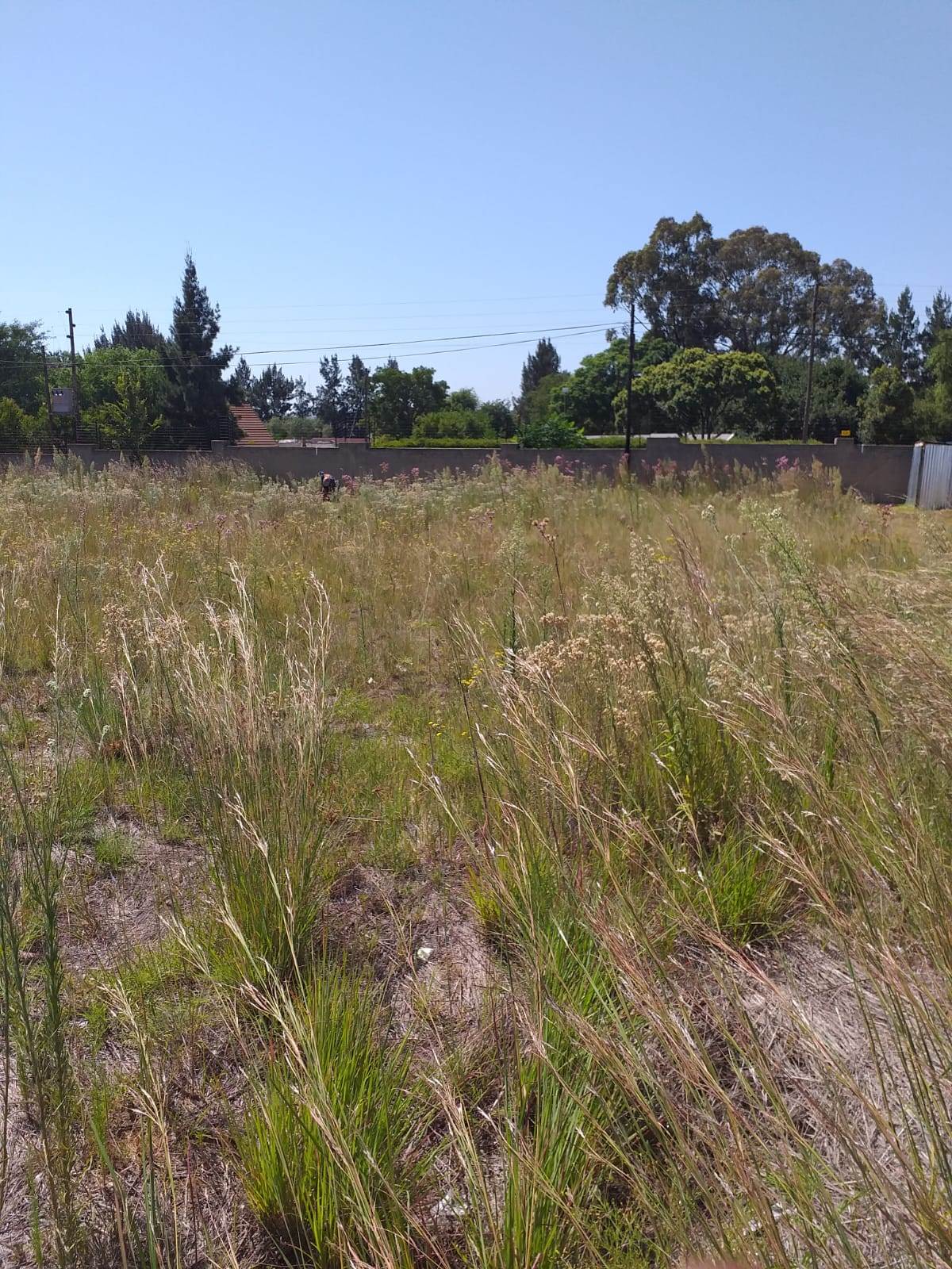 500 m² Land available in Rayton photo number 2