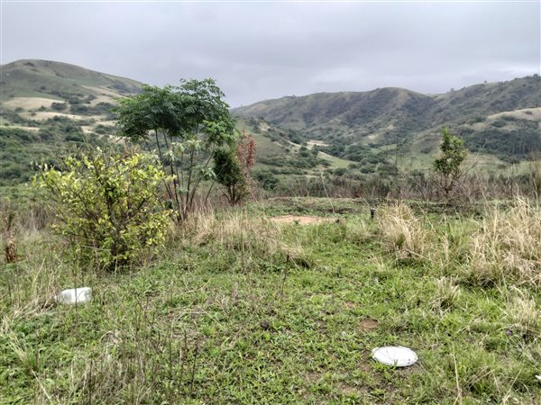 40.5 ha Farm