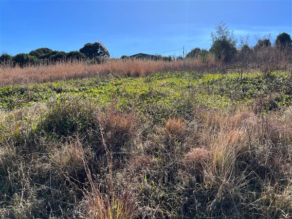 3968 m² Land available in Underberg